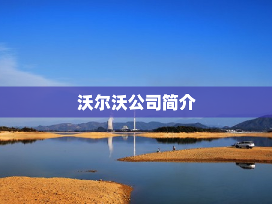沃尔沃公司简介