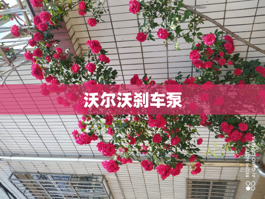 沃尔沃刹车泵