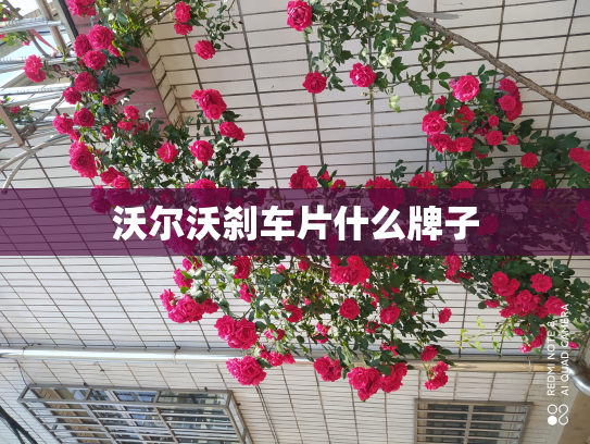 沃尔沃刹车片什么牌子