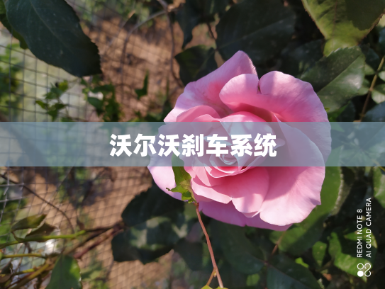 沃尔沃刹车系统