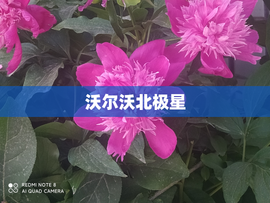沃尔沃北极星