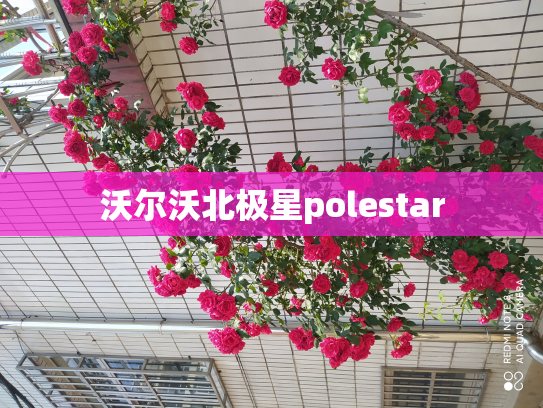 沃尔沃北极星polestar