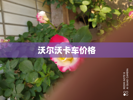 沃尔沃卡车价格