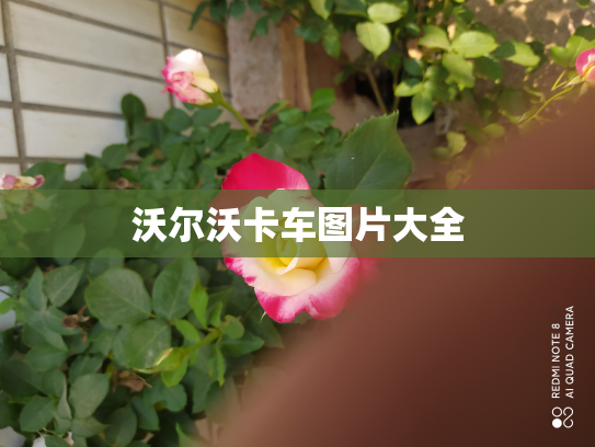 沃尔沃卡车图片大全