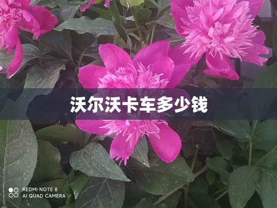 沃尔沃卡车多少钱