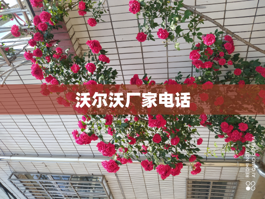 沃尔沃厂家电话