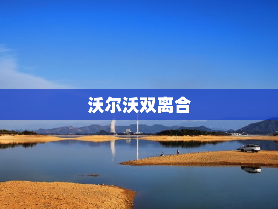 沃尔沃双离合