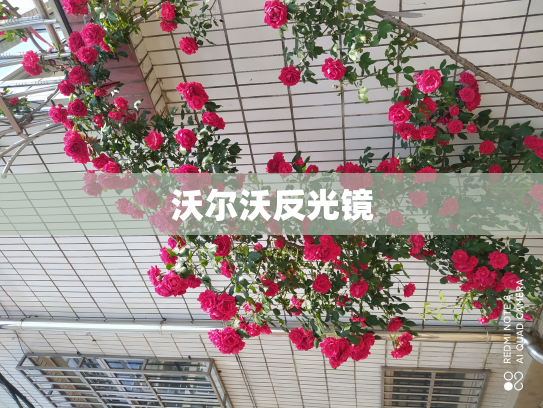 沃尔沃反光镜