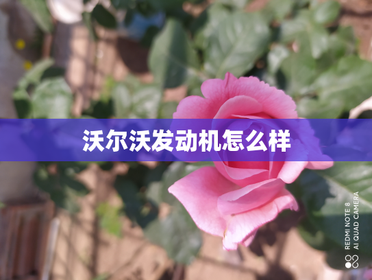 沃尔沃发动机怎么样