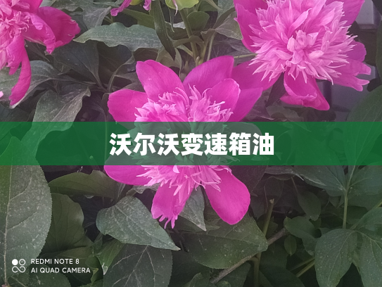 沃尔沃变速箱油