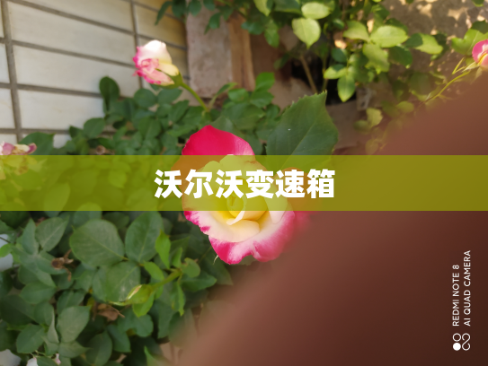 沃尔沃变速箱