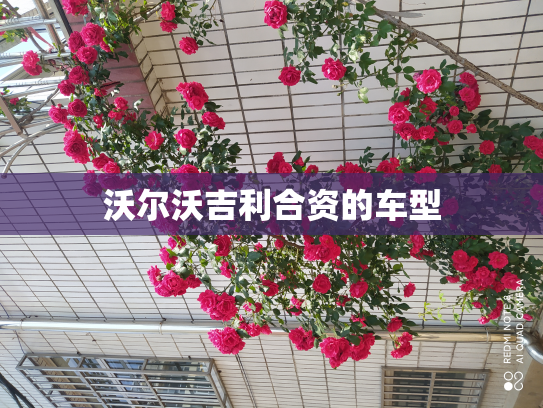 沃尔沃吉利合资的车型