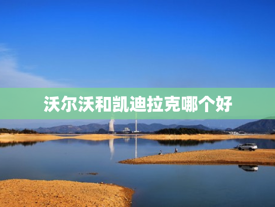 沃尔沃和凯迪拉克哪个好