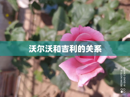 沃尔沃和吉利的关系