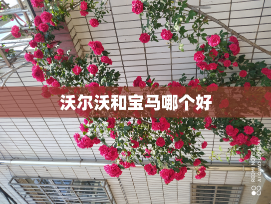 沃尔沃和宝马哪个好