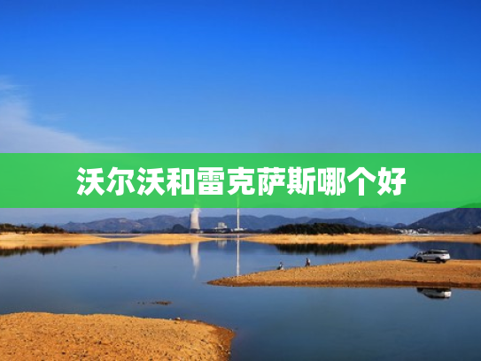 沃尔沃和雷克萨斯哪个好