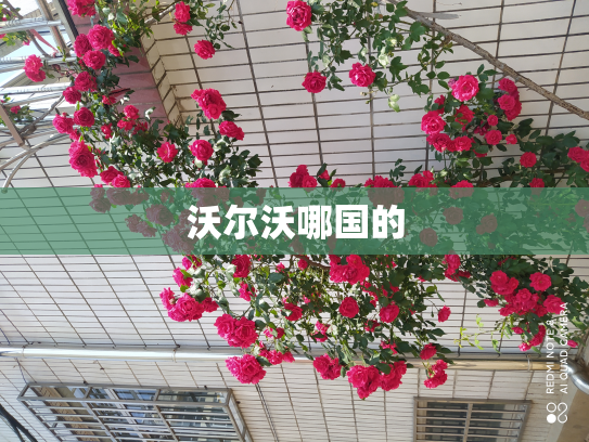 沃尔沃哪国的