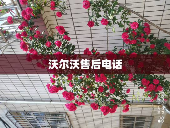 沃尔沃售后电话