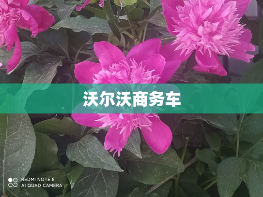 沃尔沃商务车