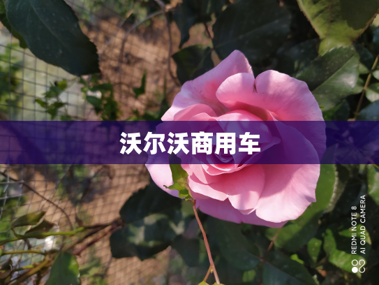 沃尔沃商用车