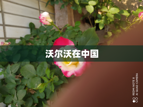 沃尔沃在中国