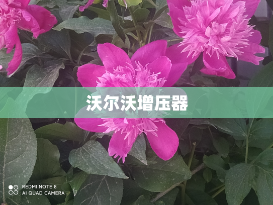 沃尔沃增压器