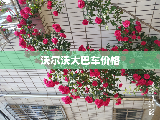 沃尔沃大巴车价格
