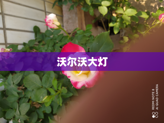 沃尔沃大灯