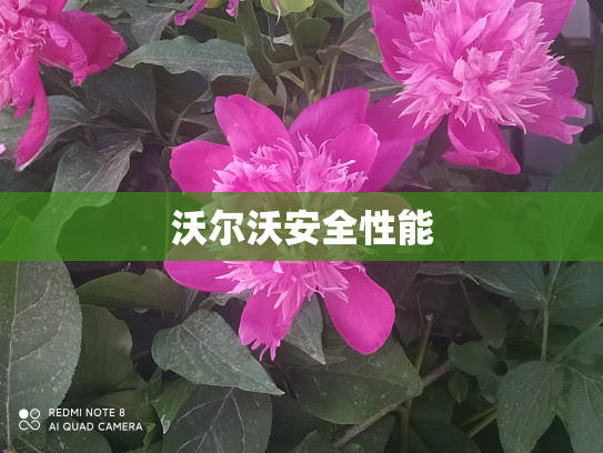 沃尔沃安全性能