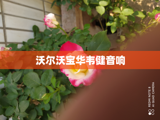 沃尔沃宝华韦健音响