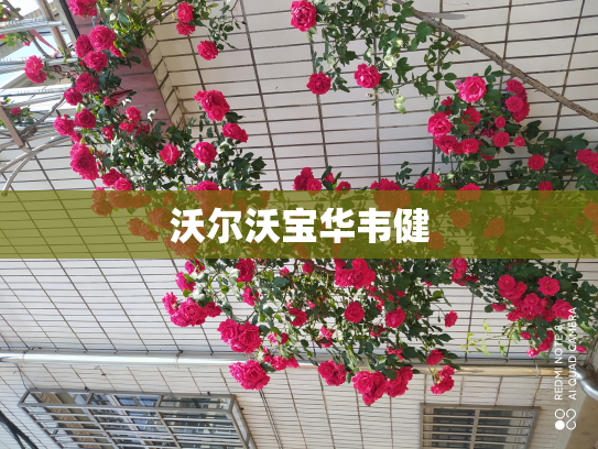 沃尔沃宝华韦健