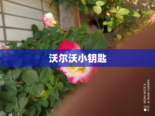 沃尔沃小钥匙
