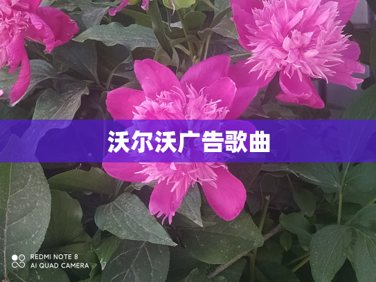 沃尔沃广告歌曲