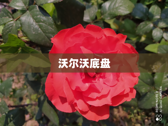 沃尔沃底盘