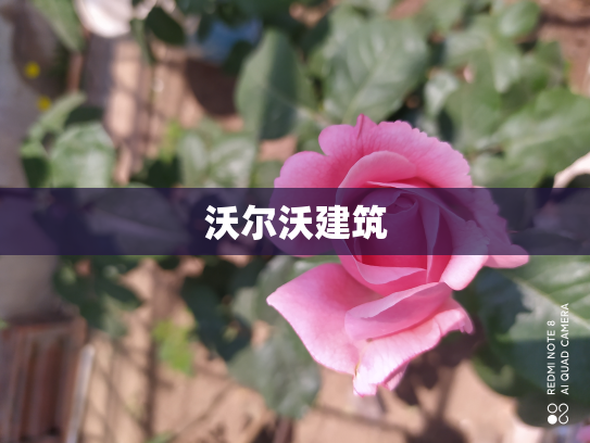 沃尔沃建筑