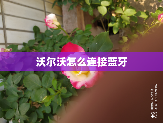 沃尔沃怎么连接蓝牙