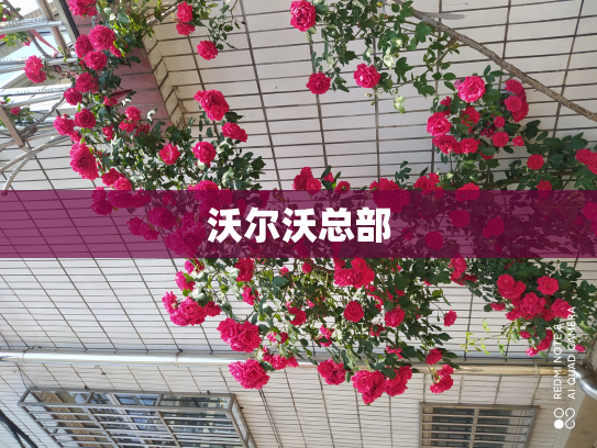 沃尔沃总部