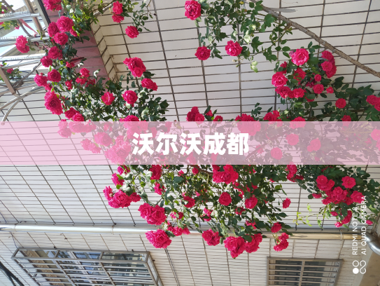 沃尔沃成都