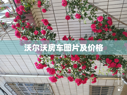 沃尔沃房车图片及价格