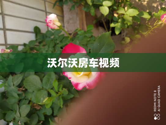 沃尔沃房车视频