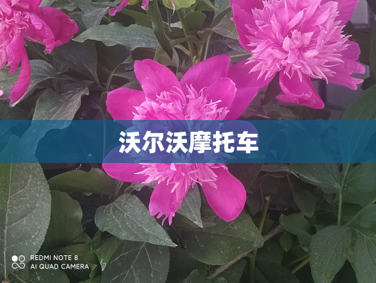 沃尔沃摩托车