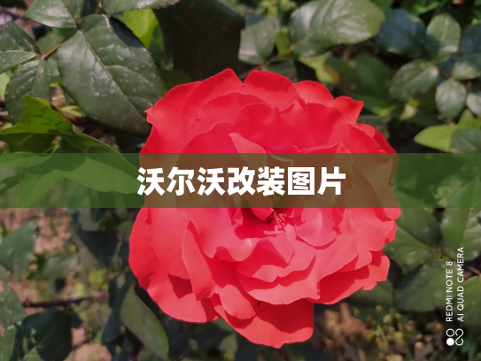 沃尔沃改装图片