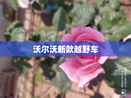 沃尔沃新款越野车