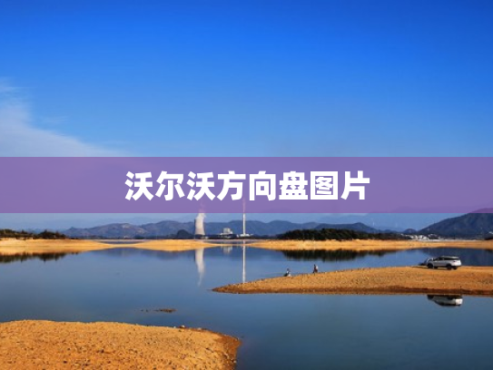 沃尔沃方向盘图片
