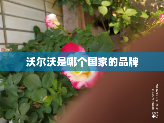 沃尔沃是哪个国家的品牌