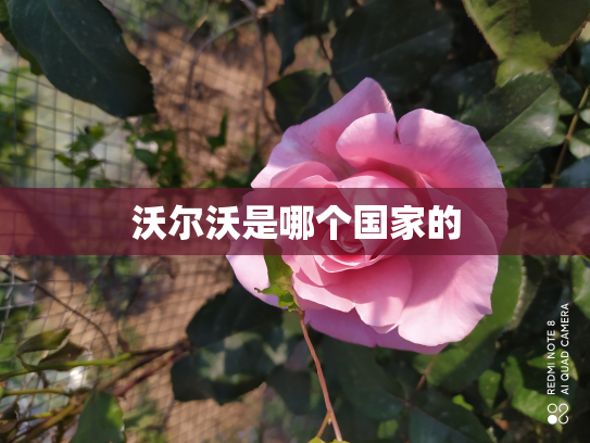 沃尔沃是哪个国家的