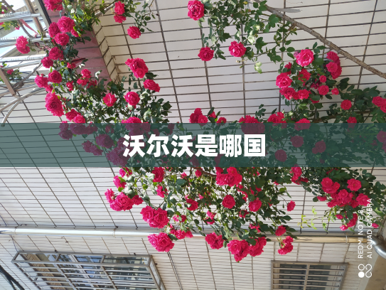 沃尔沃是哪国