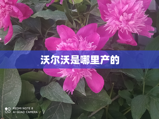 沃尔沃是哪里产的