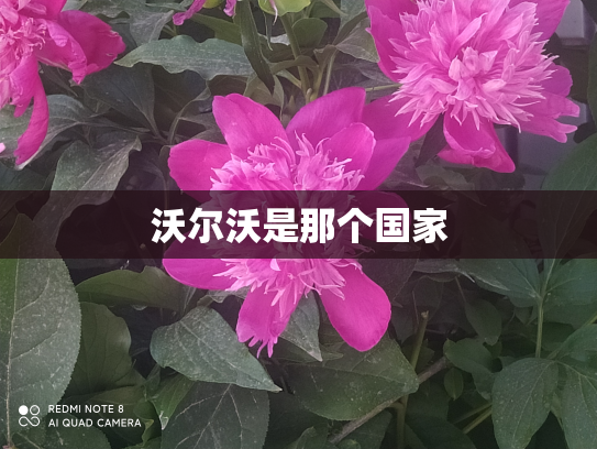 沃尔沃是那个国家