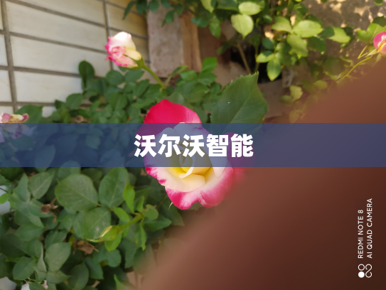 沃尔沃智能
